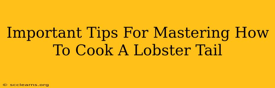 Important Tips For Mastering How To Cook A Lobster Tail