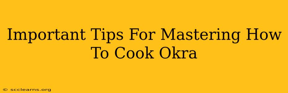 Important Tips For Mastering How To Cook Okra