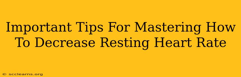 Important Tips For Mastering How To Decrease Resting Heart Rate