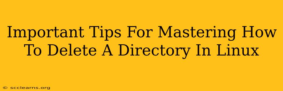 Important Tips For Mastering How To Delete A Directory In Linux