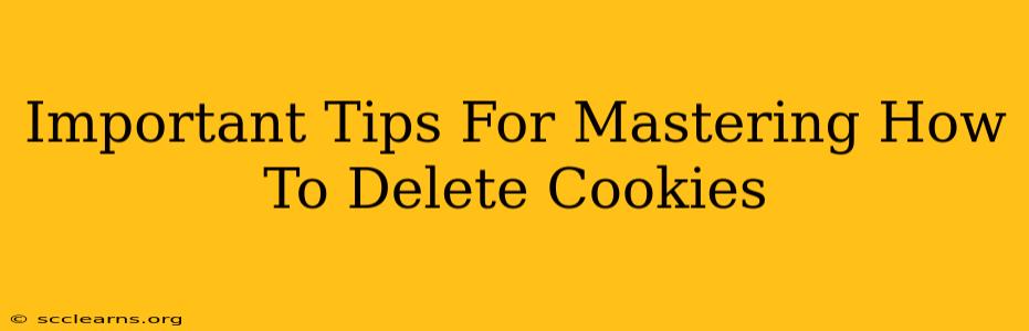 Important Tips For Mastering How To Delete Cookies