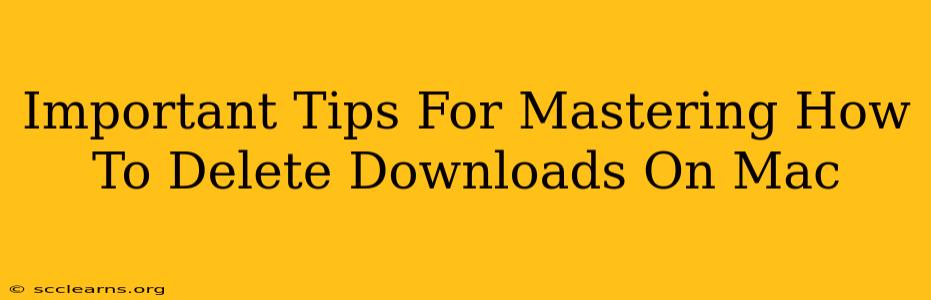 Important Tips For Mastering How To Delete Downloads On Mac