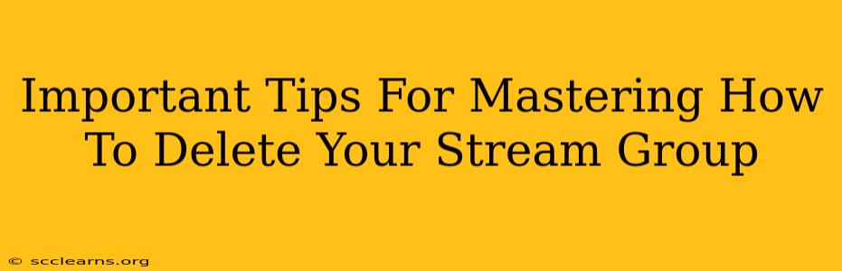 Important Tips For Mastering How To Delete Your Stream Group