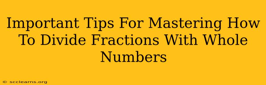 Important Tips For Mastering How To Divide Fractions With Whole Numbers