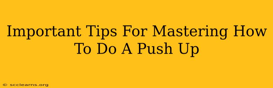 Important Tips For Mastering How To Do A Push Up