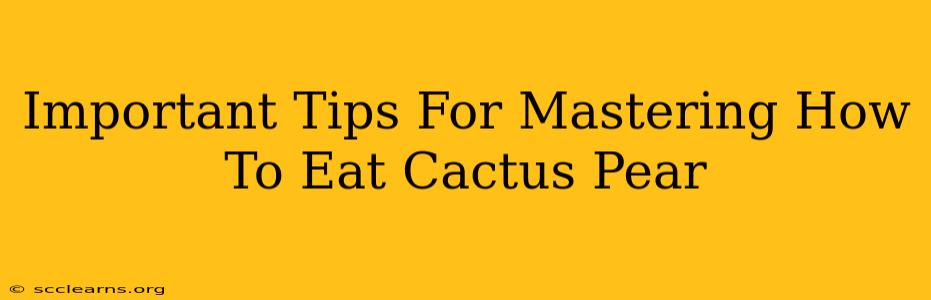 Important Tips For Mastering How To Eat Cactus Pear