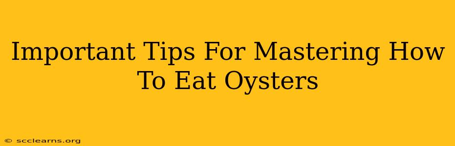 Important Tips For Mastering How To Eat Oysters