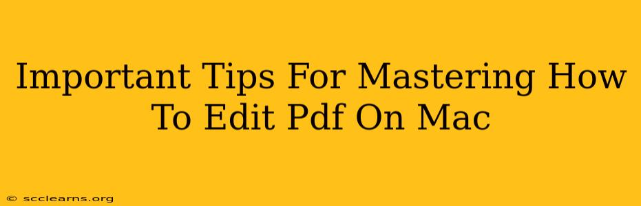 Important Tips For Mastering How To Edit Pdf On Mac