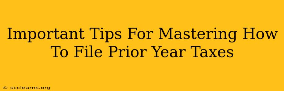 Important Tips For Mastering How To File Prior Year Taxes