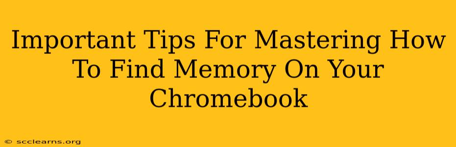 Important Tips For Mastering How To Find Memory On Your Chromebook