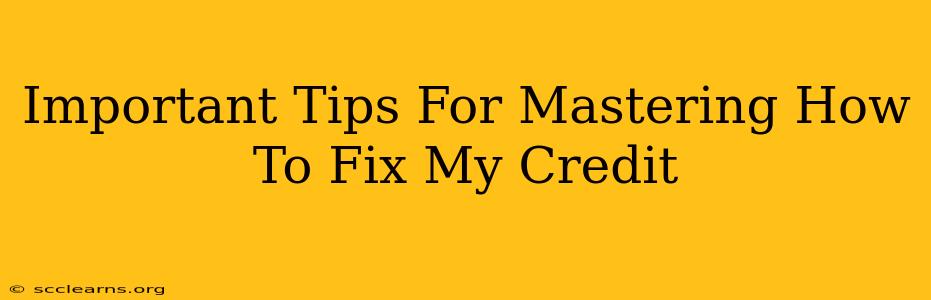 Important Tips For Mastering How To Fix My Credit