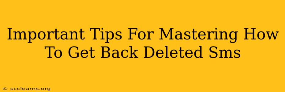 Important Tips For Mastering How To Get Back Deleted Sms