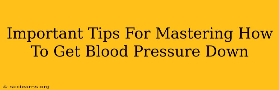 Important Tips For Mastering How To Get Blood Pressure Down