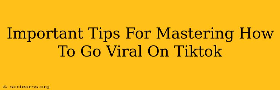 Important Tips For Mastering How To Go Viral On Tiktok