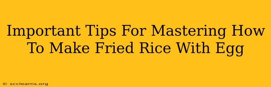 Important Tips For Mastering How To Make Fried Rice With Egg