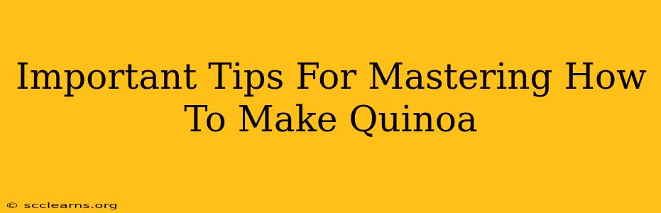 Important Tips For Mastering How To Make Quinoa