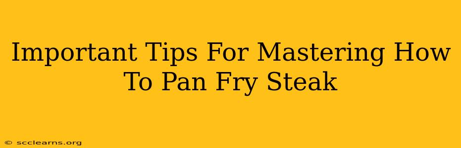 Important Tips For Mastering How To Pan Fry Steak