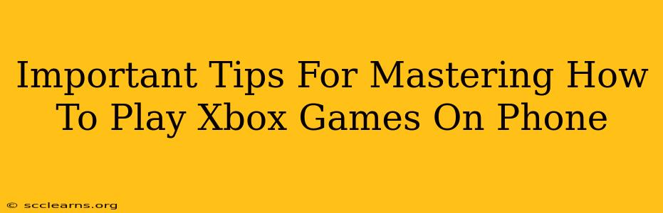 Important Tips For Mastering How To Play Xbox Games On Phone