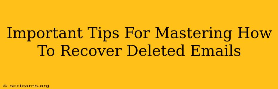 Important Tips For Mastering How To Recover Deleted Emails