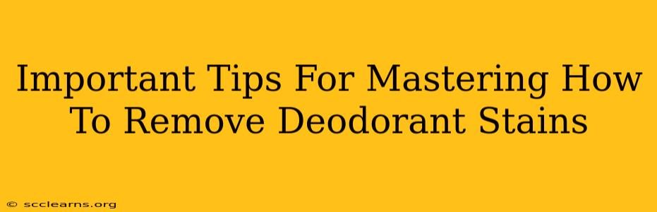 Important Tips For Mastering How To Remove Deodorant Stains