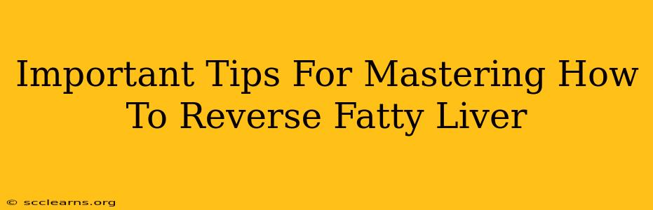 Important Tips For Mastering How To Reverse Fatty Liver