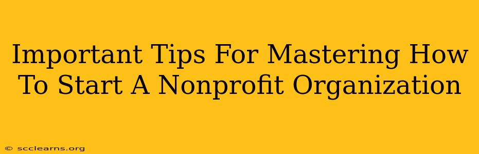 Important Tips For Mastering How To Start A Nonprofit Organization