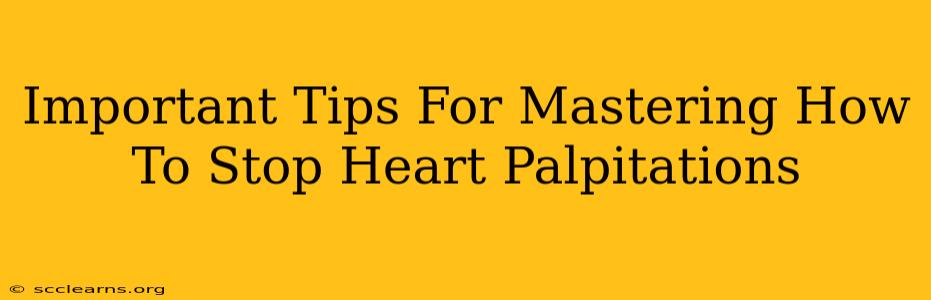 Important Tips For Mastering How To Stop Heart Palpitations