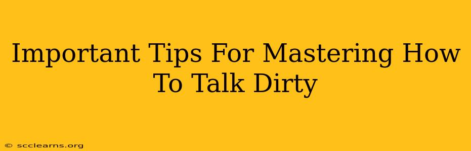 Important Tips For Mastering How To Talk Dirty