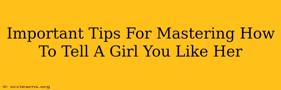 Important Tips For Mastering How To Tell A Girl You Like Her