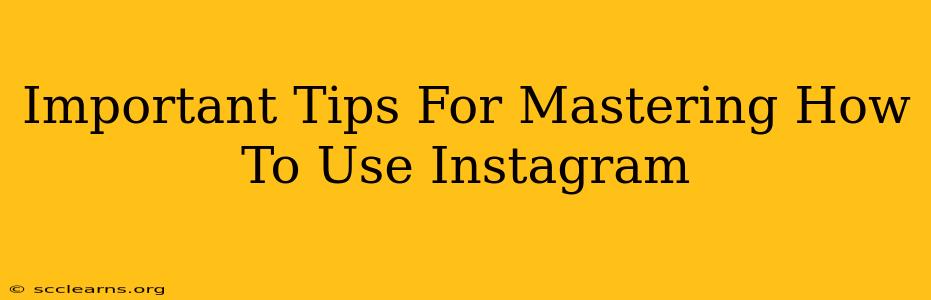 Important Tips For Mastering How To Use Instagram