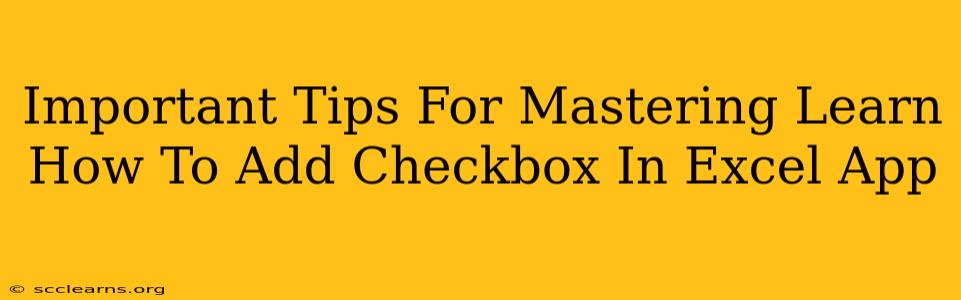 Important Tips For Mastering Learn How To Add Checkbox In Excel App