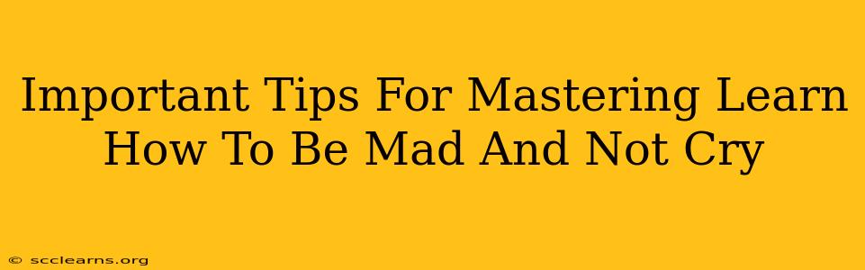 Important Tips For Mastering Learn How To Be Mad And Not Cry