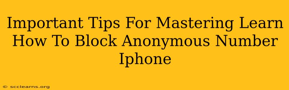 Important Tips For Mastering Learn How To Block Anonymous Number Iphone