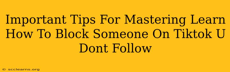 Important Tips For Mastering Learn How To Block Someone On Tiktok U Dont Follow