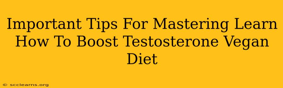 Important Tips For Mastering Learn How To Boost Testosterone Vegan Diet