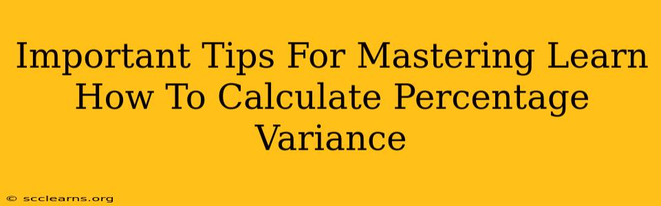 Important Tips For Mastering Learn How To Calculate Percentage Variance