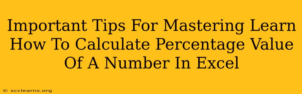 Important Tips For Mastering Learn How To Calculate Percentage Value Of A Number In Excel