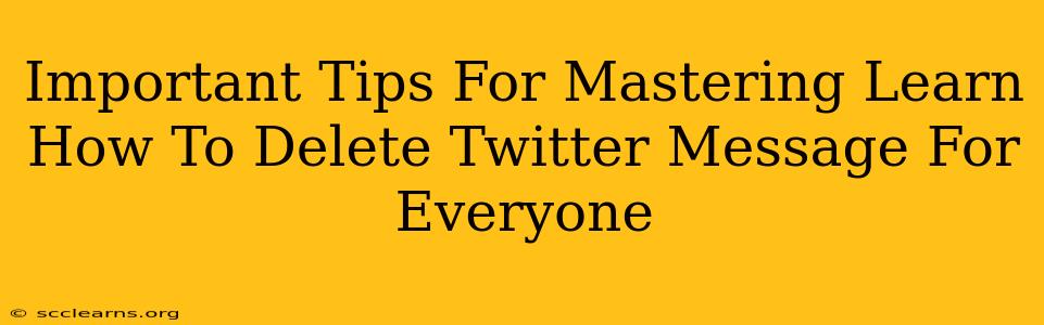 Important Tips For Mastering Learn How To Delete Twitter Message For Everyone