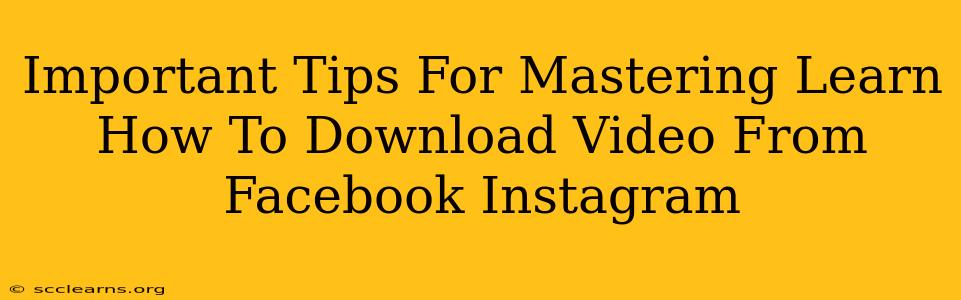 Important Tips For Mastering Learn How To Download Video From Facebook Instagram