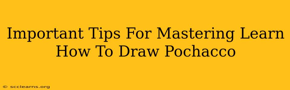 Important Tips For Mastering Learn How To Draw Pochacco