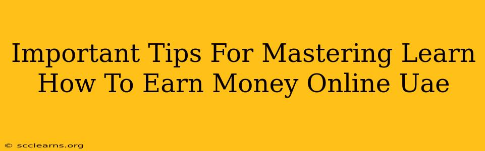 Important Tips For Mastering Learn How To Earn Money Online Uae