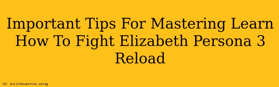 Important Tips For Mastering Learn How To Fight Elizabeth Persona 3 Reload