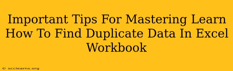 Important Tips For Mastering Learn How To Find Duplicate Data In Excel Workbook