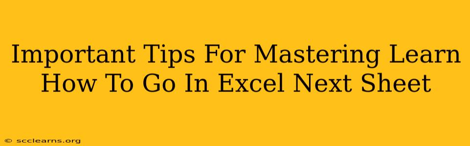 Important Tips For Mastering Learn How To Go In Excel Next Sheet