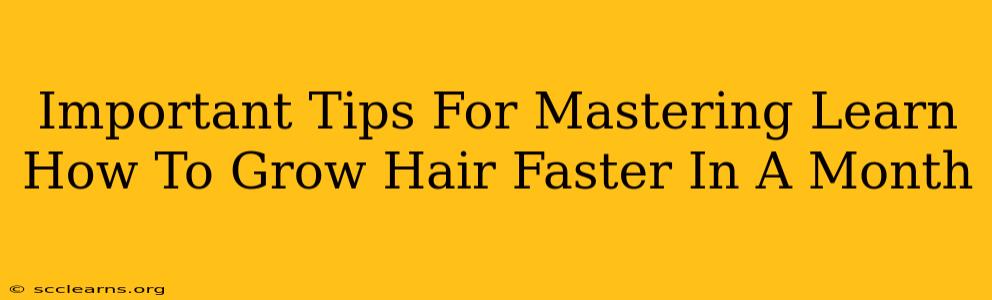 Important Tips For Mastering Learn How To Grow Hair Faster In A Month