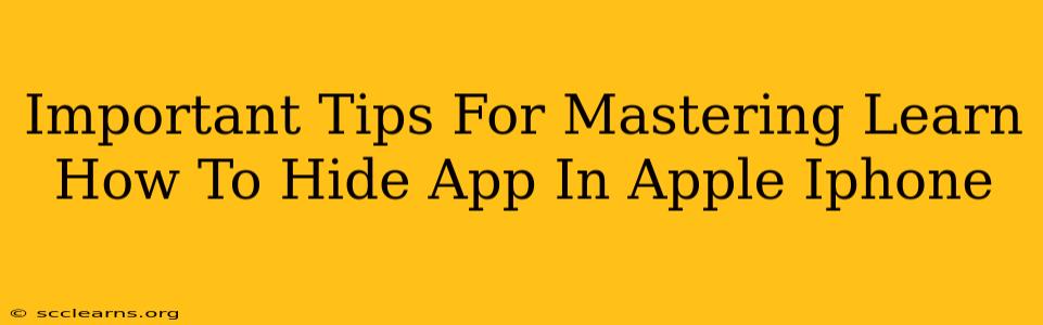 Important Tips For Mastering Learn How To Hide App In Apple Iphone