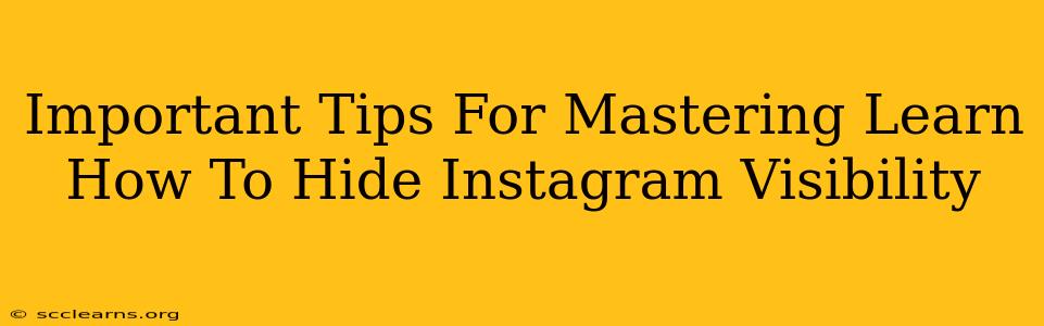 Important Tips For Mastering Learn How To Hide Instagram Visibility