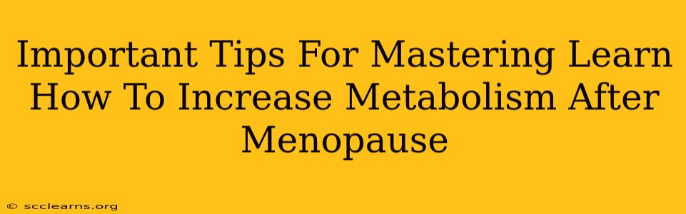 Important Tips For Mastering Learn How To Increase Metabolism After Menopause