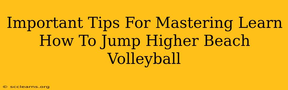 Important Tips For Mastering Learn How To Jump Higher Beach Volleyball