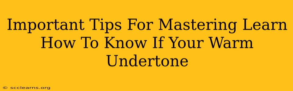 Important Tips For Mastering Learn How To Know If Your Warm Undertone